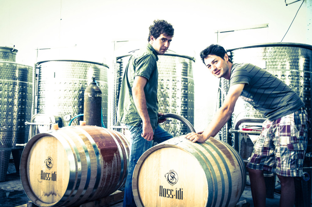 barrelling-at-rossidi-winery